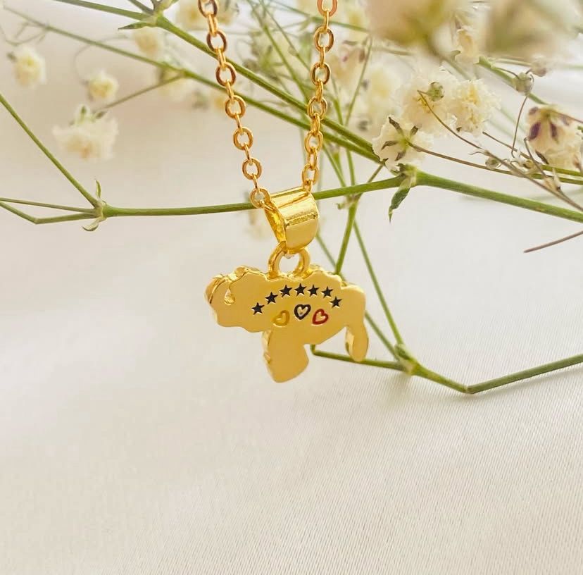 COLLAR MAPA DE VZLA ESTRELLA TRICOLOR